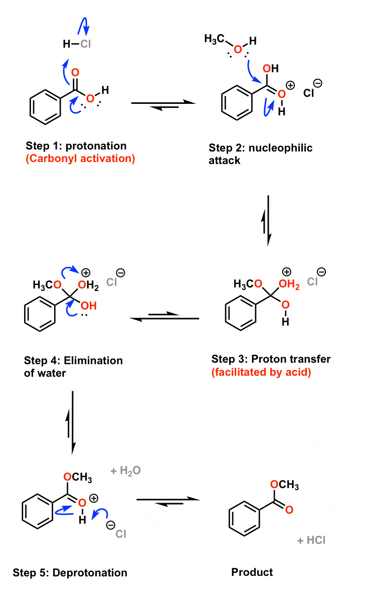 Acid Catalysis of Organic Reactions Why It Works