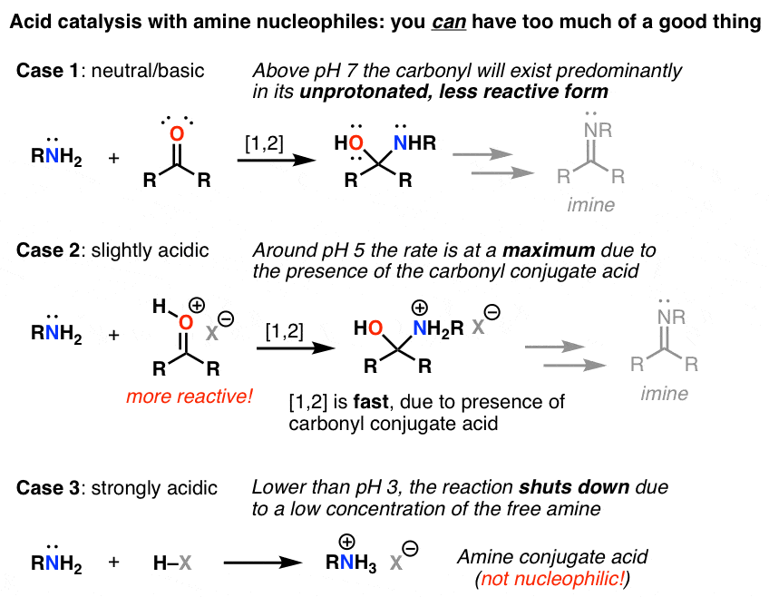 Carbonyl Reaction Mechanisms: Neutral Nucleophiles (Part 2) — Master ...