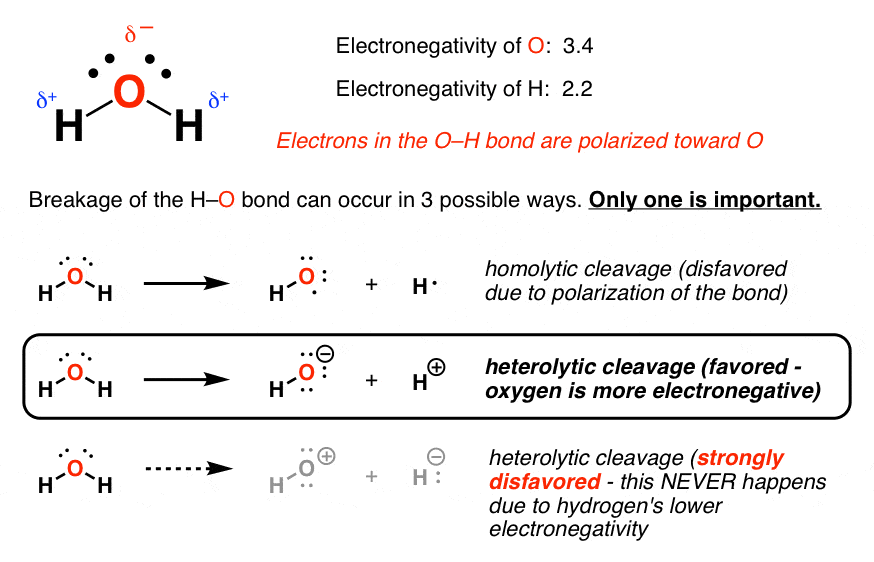 From General Chemistry to Organic Chemistry: Acids and Bases — Master ...