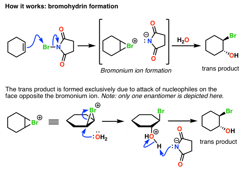 shop de la métaphysique à la rhétorique essais à la mémoire