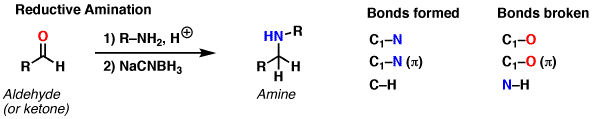Reductive Amination Master Organic Chemistry