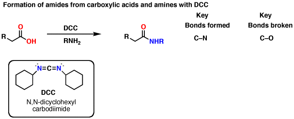 Formation Of Amides Using DCC Master Organic Chemistry amides-from-carboxylic-acids-dcc-and-edc-coupling-chemistry-42-off
