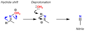 Beckmann Rearrangement — Master Organic Chemistry