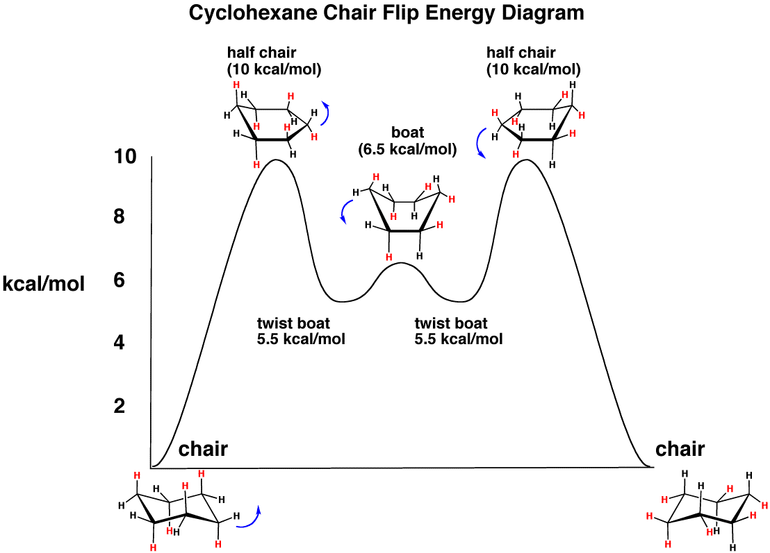 Cyclohexane Diagram