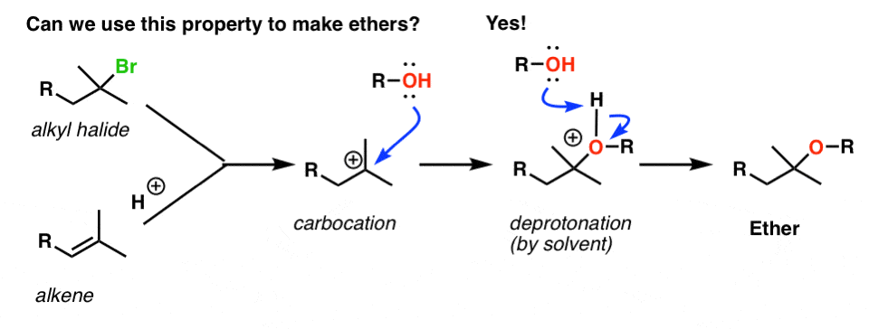 ethers-from-alkenes-tertiary-alkyl-halides-and-alkoxymercuration