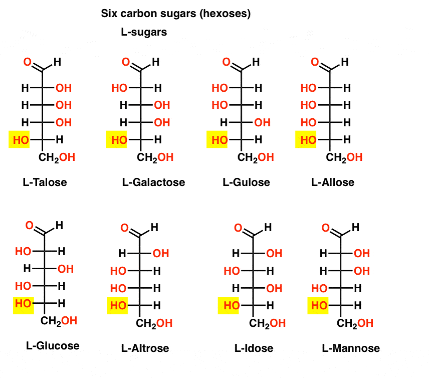 has galactose below the shown structure and Chemistry L Organic â€” D Sugars Master