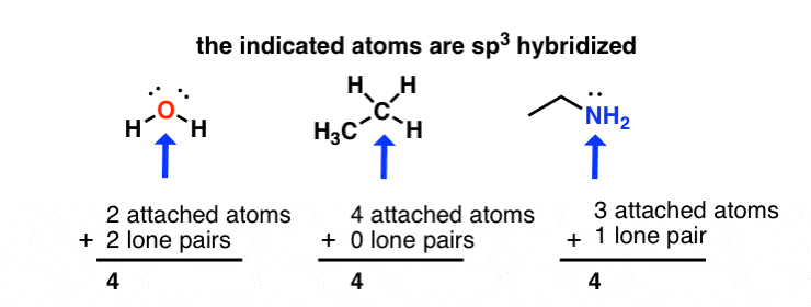 How To Determine Hybridization Of Central Atom