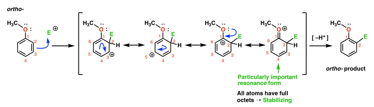 understanding-ortho-para-and-meta-directors-master-organic-chemistry