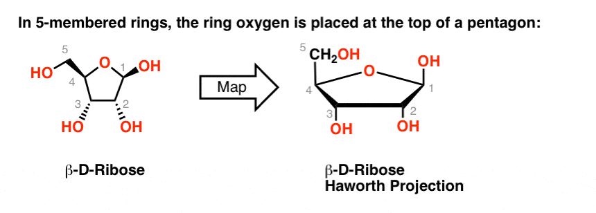 The Haworth Projection – Master Organic Chemistry