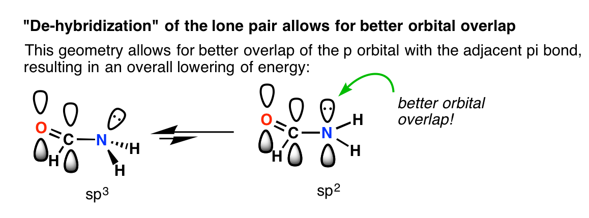 nitrogen bond