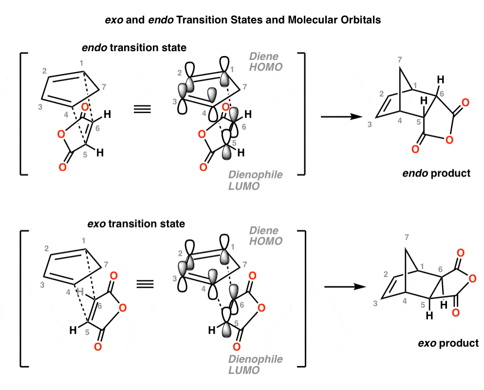 Why Are Endo Products Favored in the Diels-Alder Reaction?