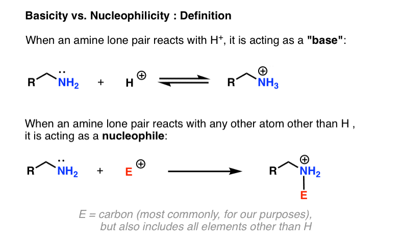 nucleophilicity-trends-of-amines-master-organic-chemistry