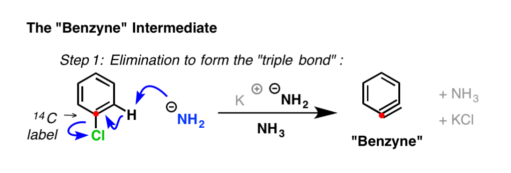 Nucleophilic Aromatic Substitution - The Benzyne Mechanism